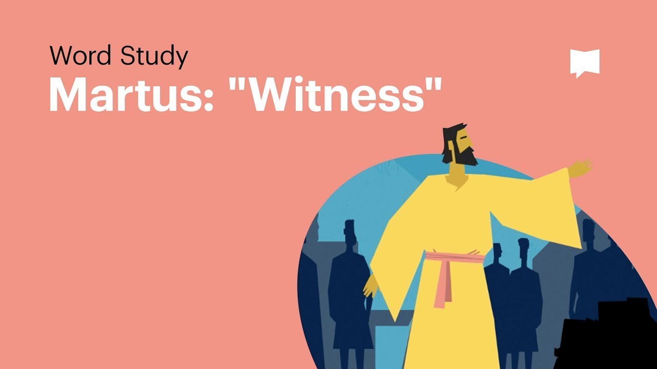 Martus / Witness